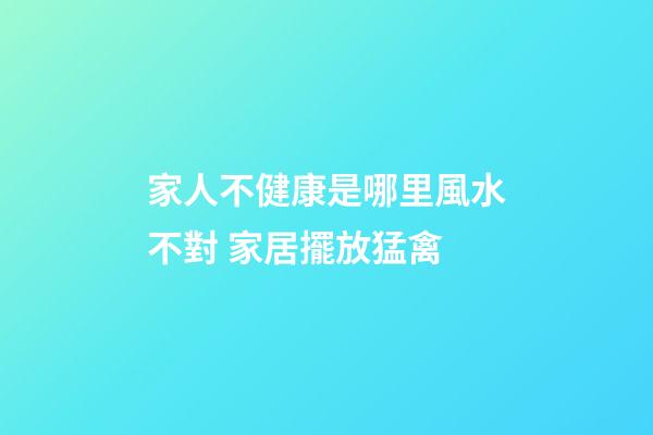 家人不健康是哪里風水不對 家居擺放猛禽